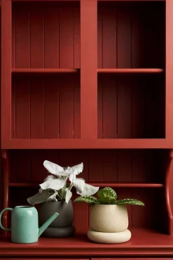 Robert Gordon Planters & Watering Cans-Watering Can / Moss Plant Parent